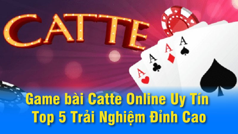 Các mẹo chơi game bài Catte hiệu quả: Bí kíp chiến thắng